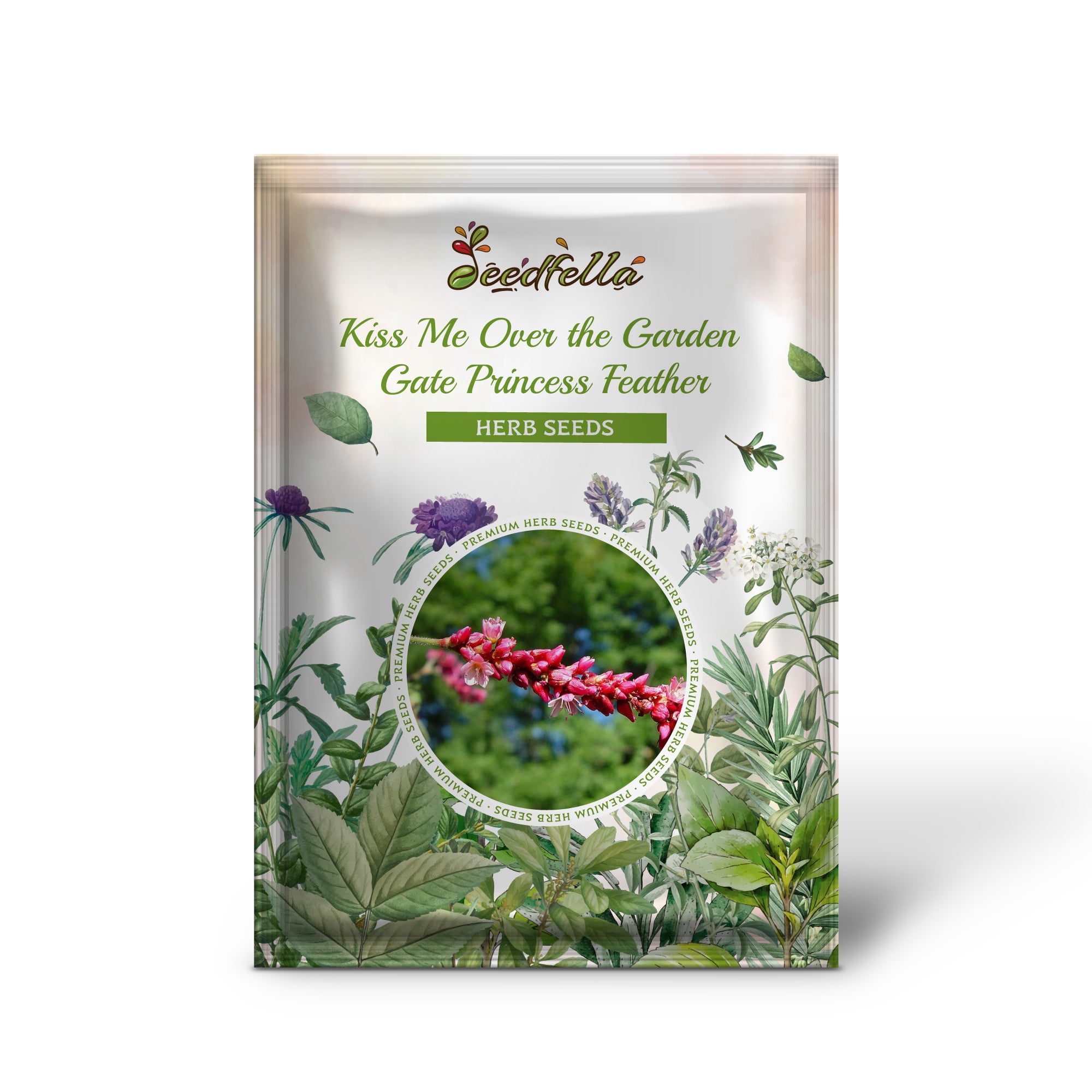 Non GMO Kiss Me Over the Garden Gate seedlings emerging from soil