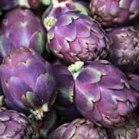 Non GMO Purple Artichoke seeds