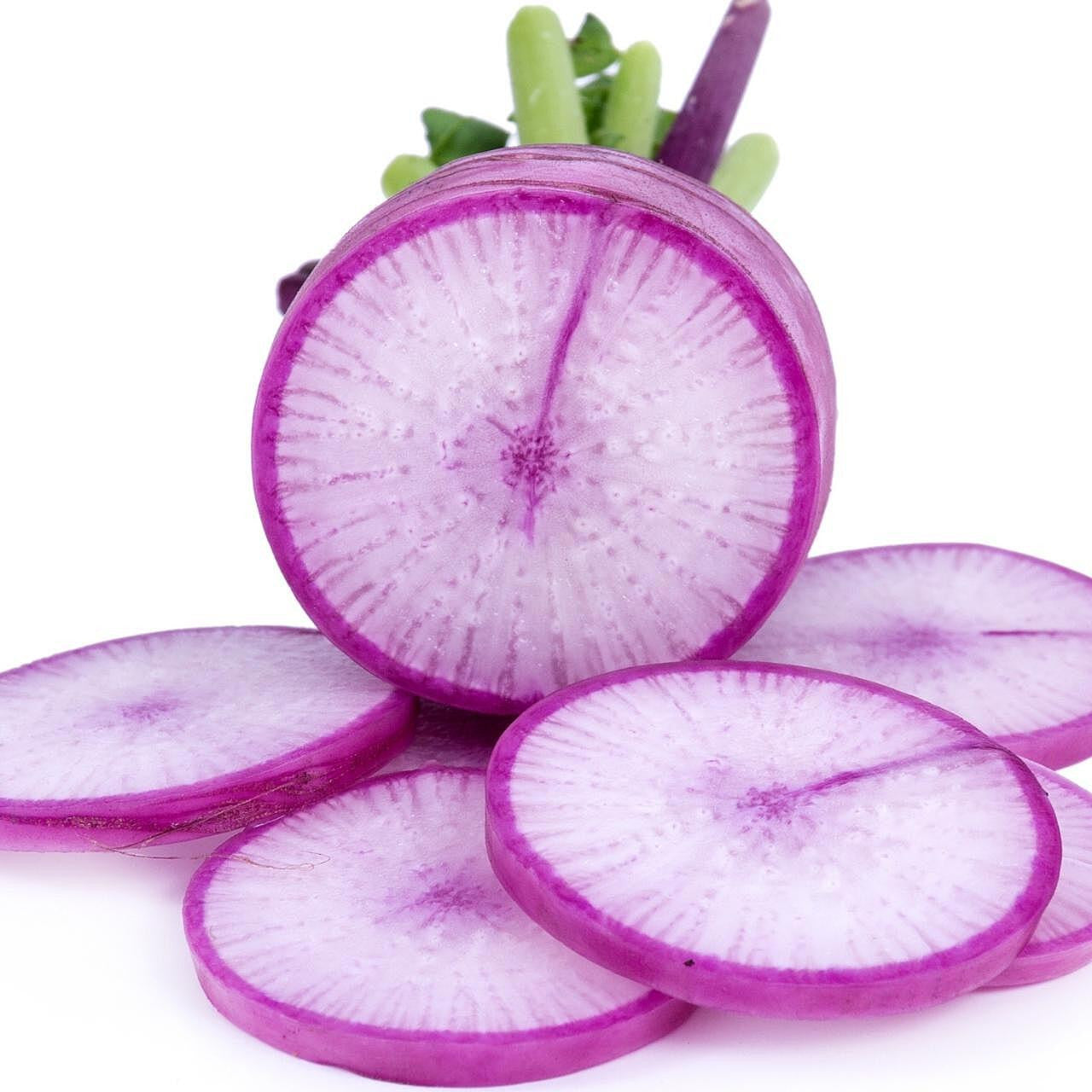 Non GMO purple radish seeds for gardeners