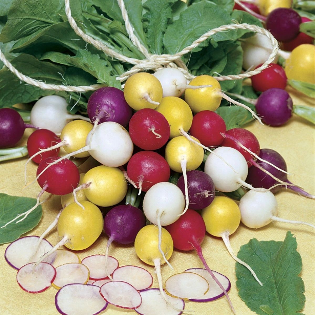 Non GMO rainbow radish seeds