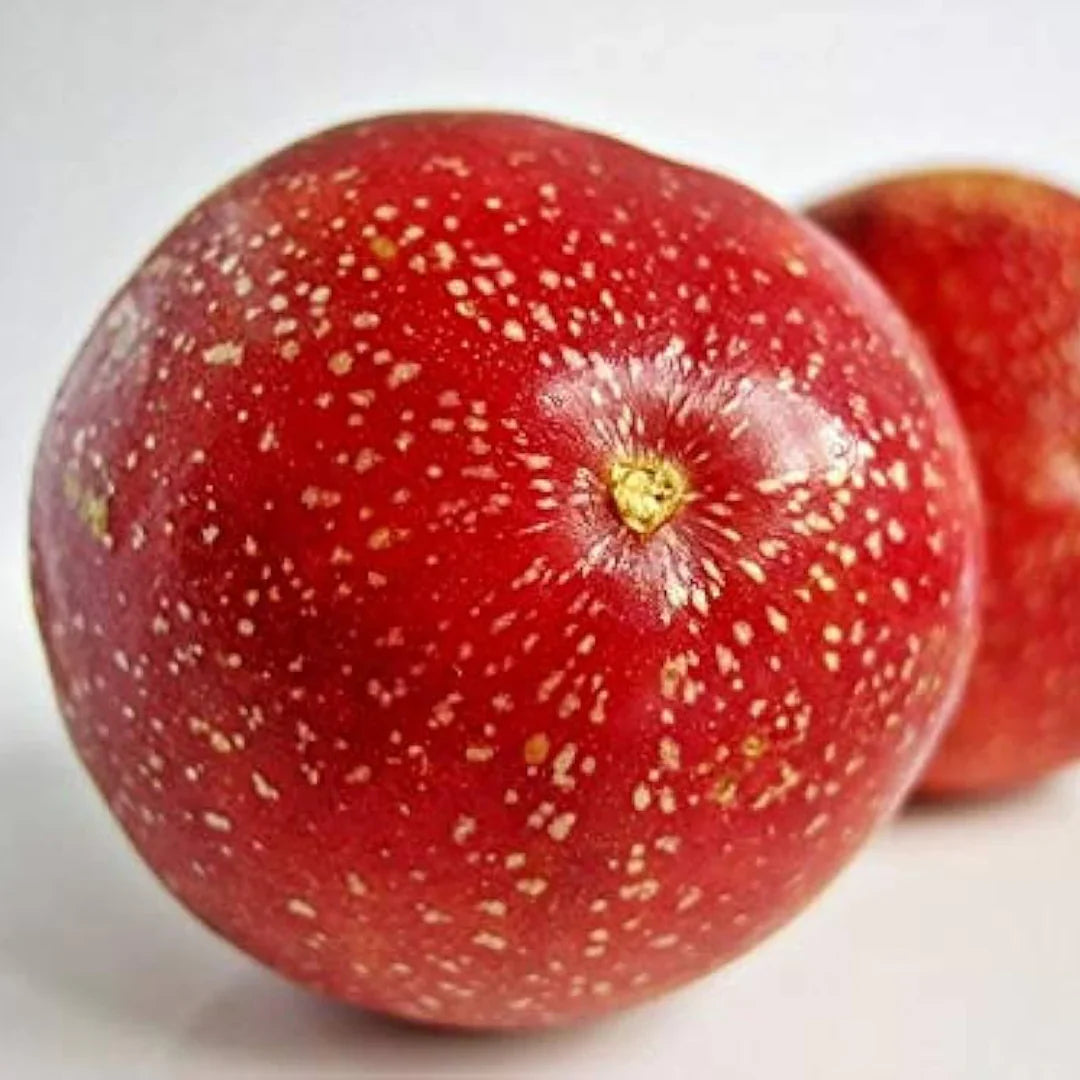 Non-GMO red passion fruit seeds for home garden planting