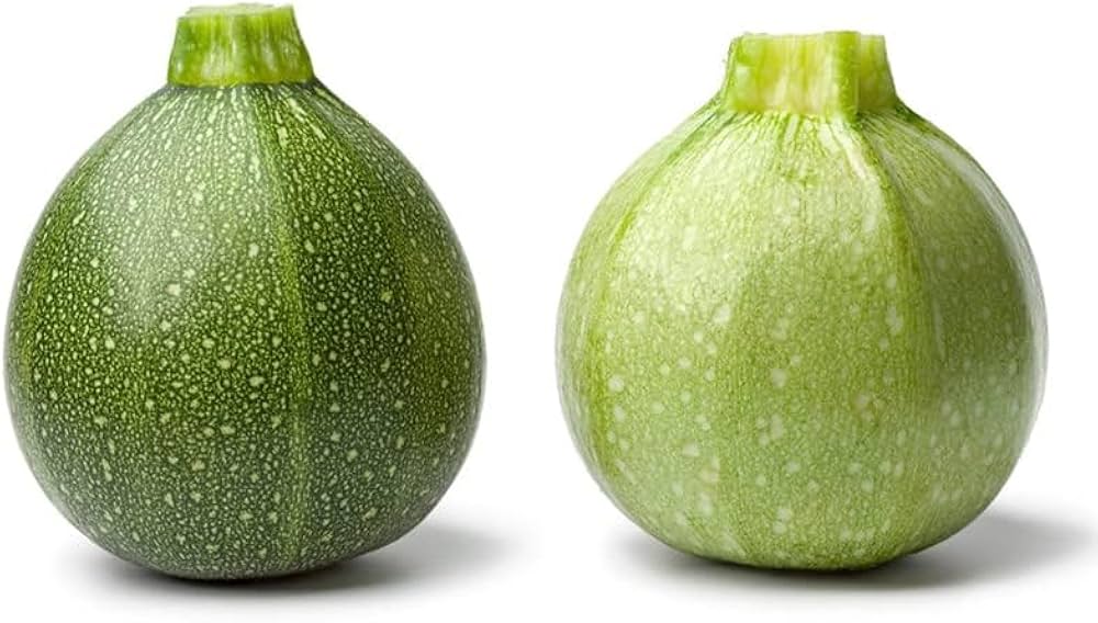 Non-GMO Summer Squash seeds for vegetable patches