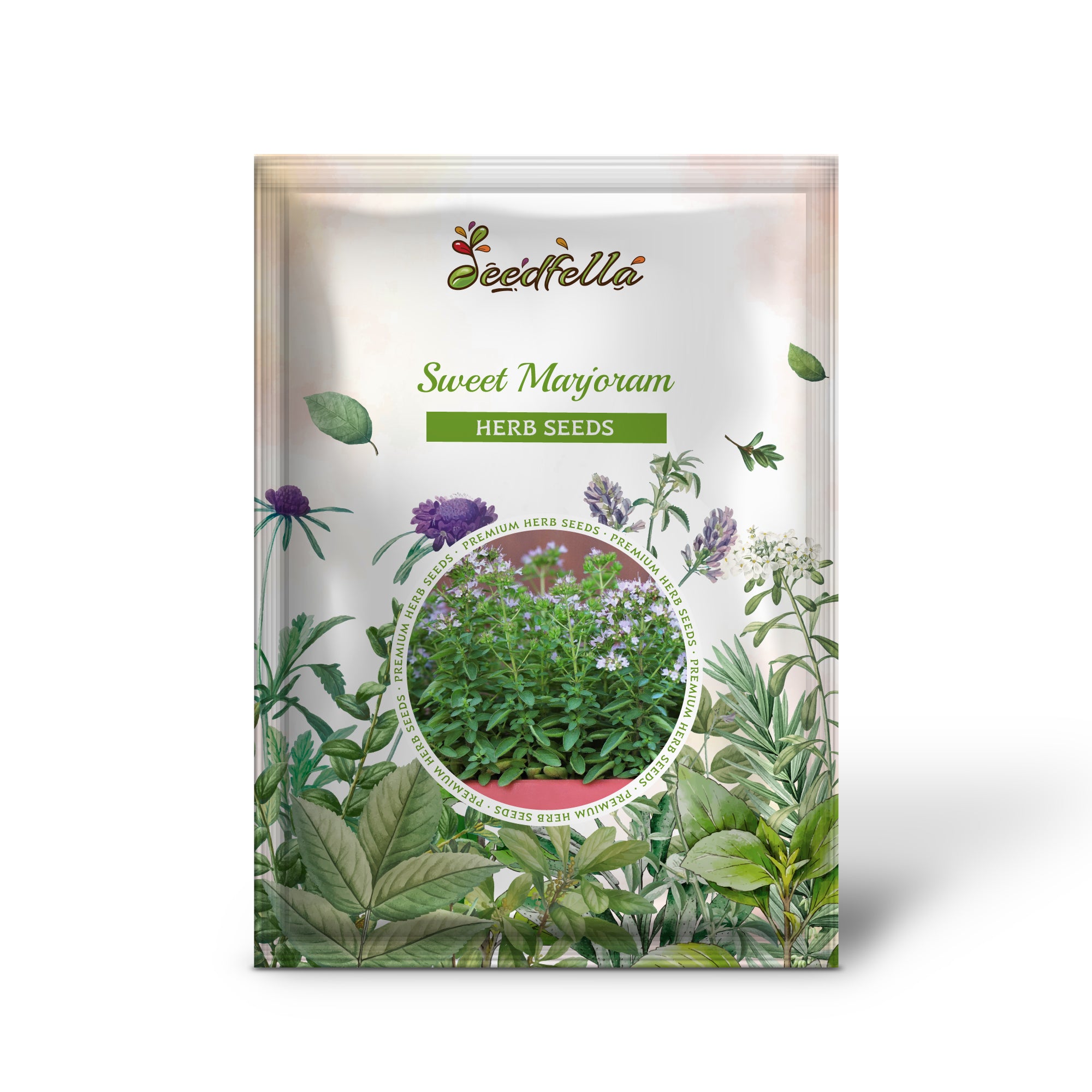 Non GMO Sweet Marjoram herb seeds