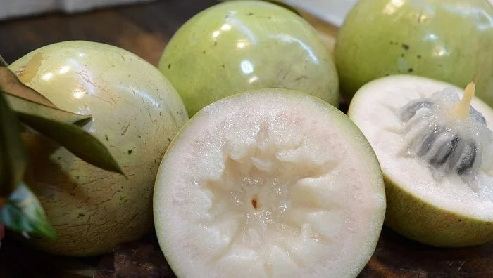 Non-GMO Vietnam Milk Melon seeds for tropical garden cultivation