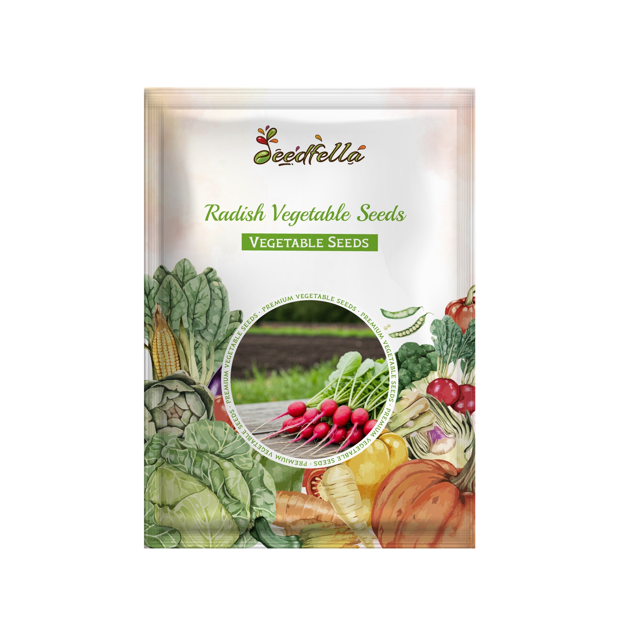 Non GMO watermelon radish seeds