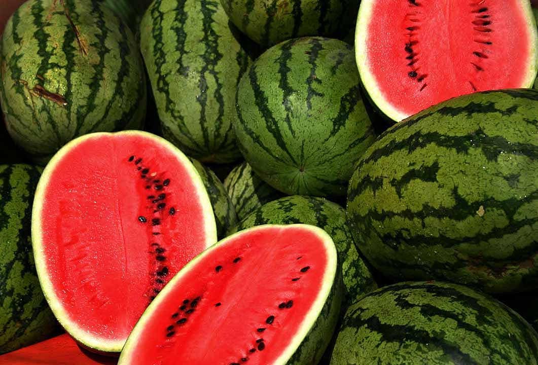 Non-GMO watermelon seeds large 30 lb red melon variety