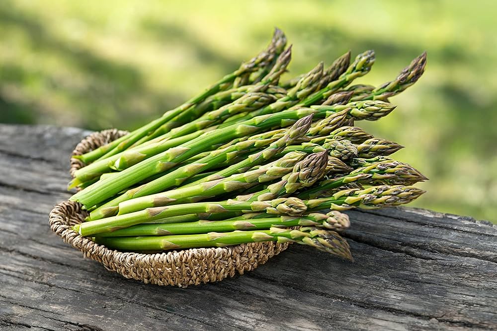 Non GMO wild asparagus seeds