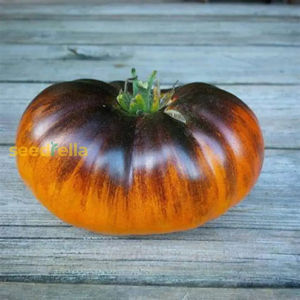 High germination Yellow Black tomato seeds