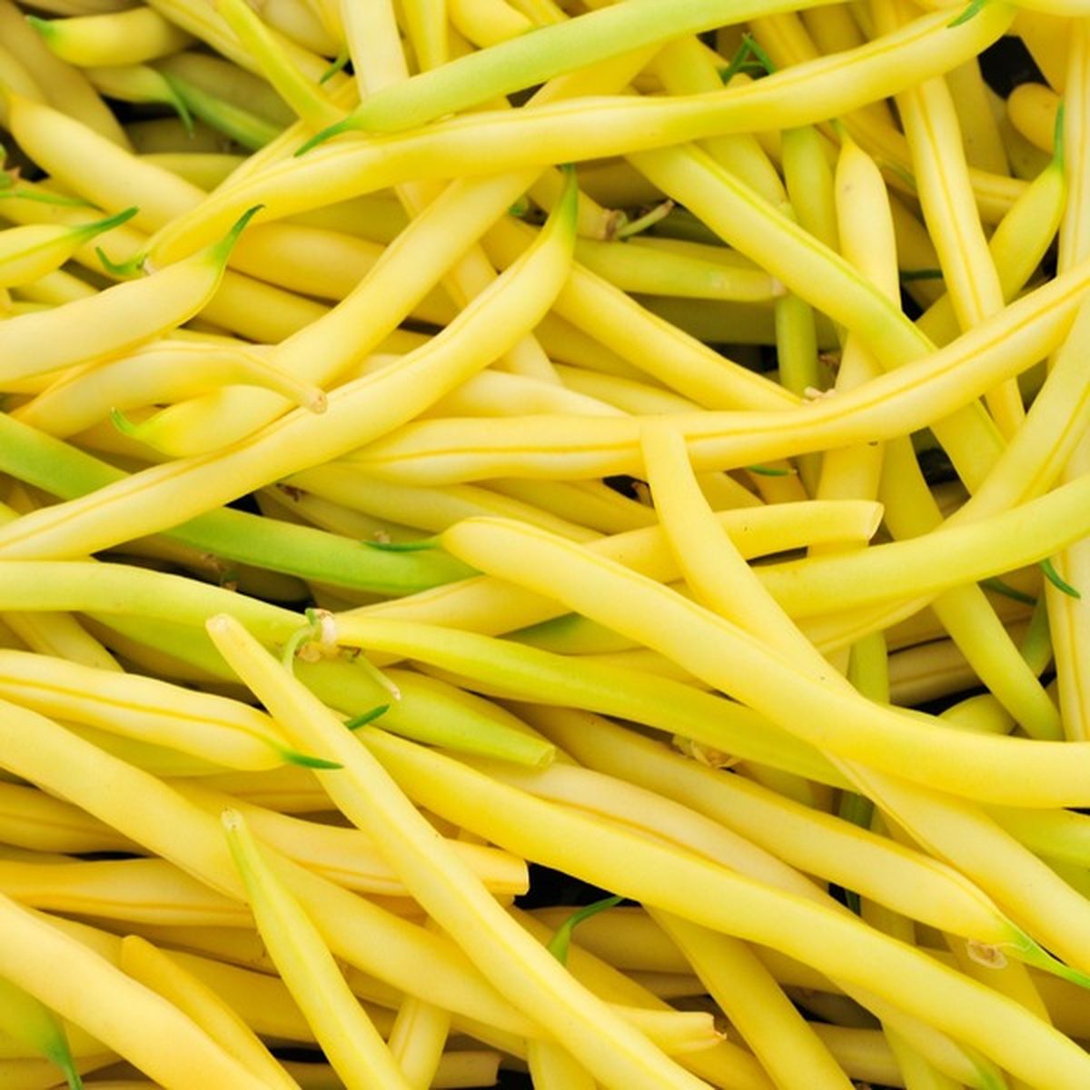 Non-GMO Yellow Wax Bean seeds for garden planting