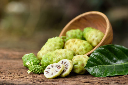 Noni (Morinda citrifolia) fruit tree seeds for planting