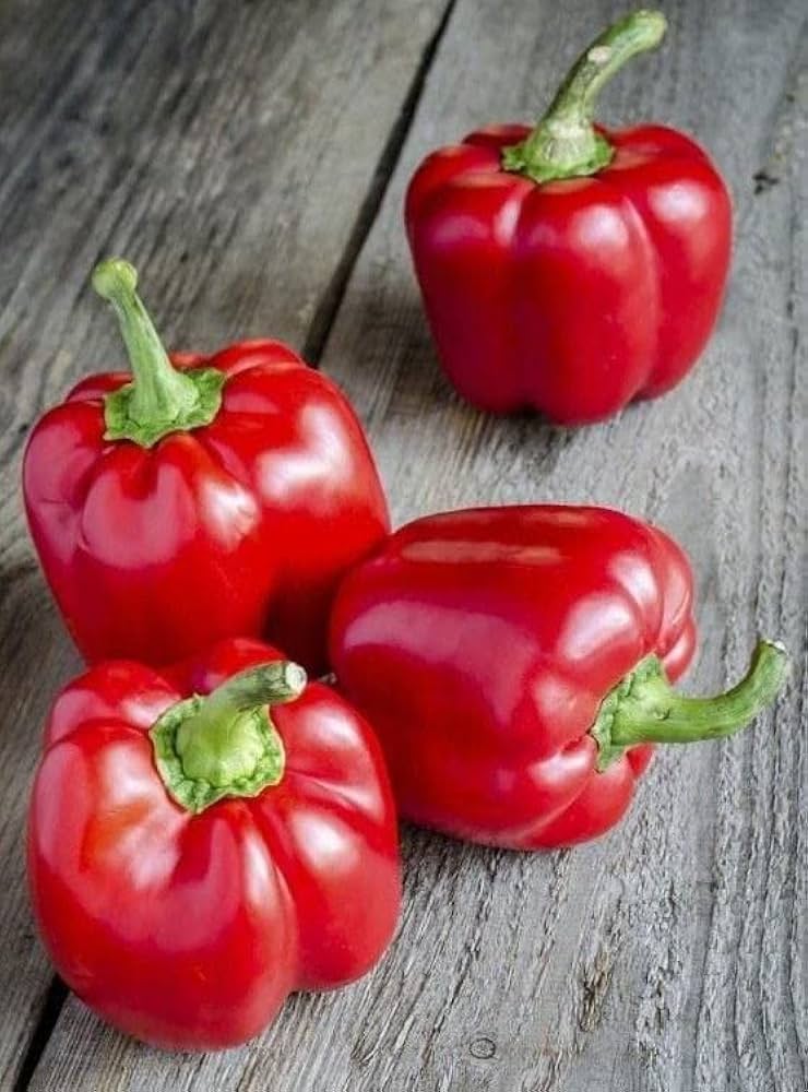 Non GMO Nora seeds easy to plant