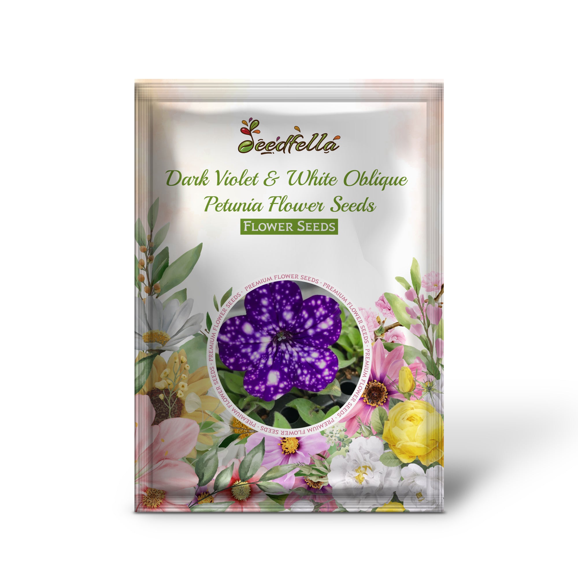 Dark Violet & White Oblique Petunia flowers in full bloom