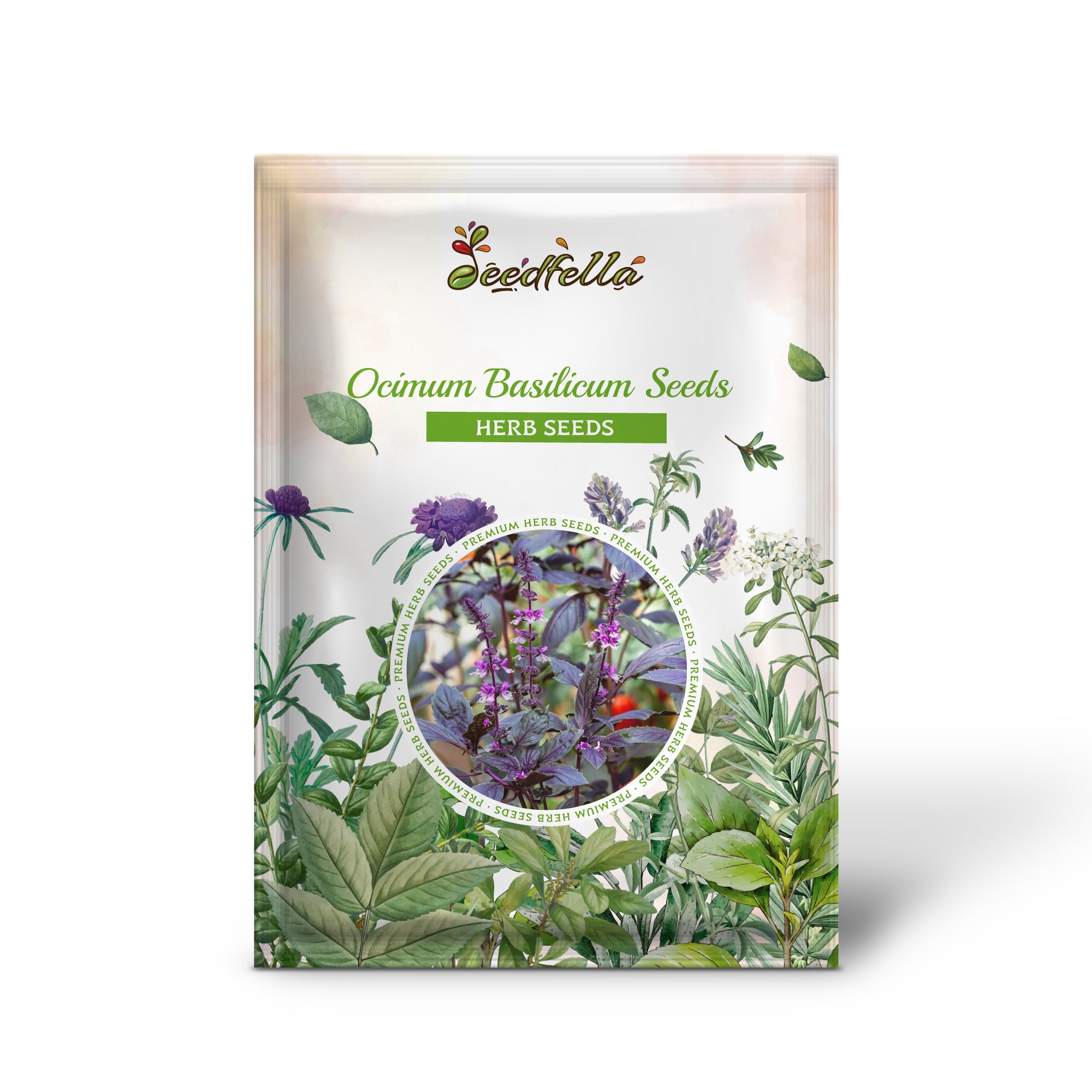 Premium Non-GMO Ocimum Basilicum Seeds Pack