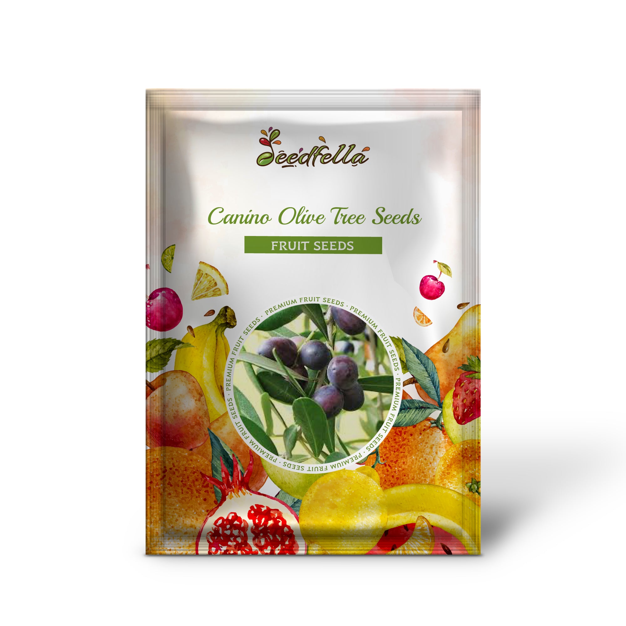 Olea europaea Seeds – Canino Olive Non-GMO Mediterranean Tree