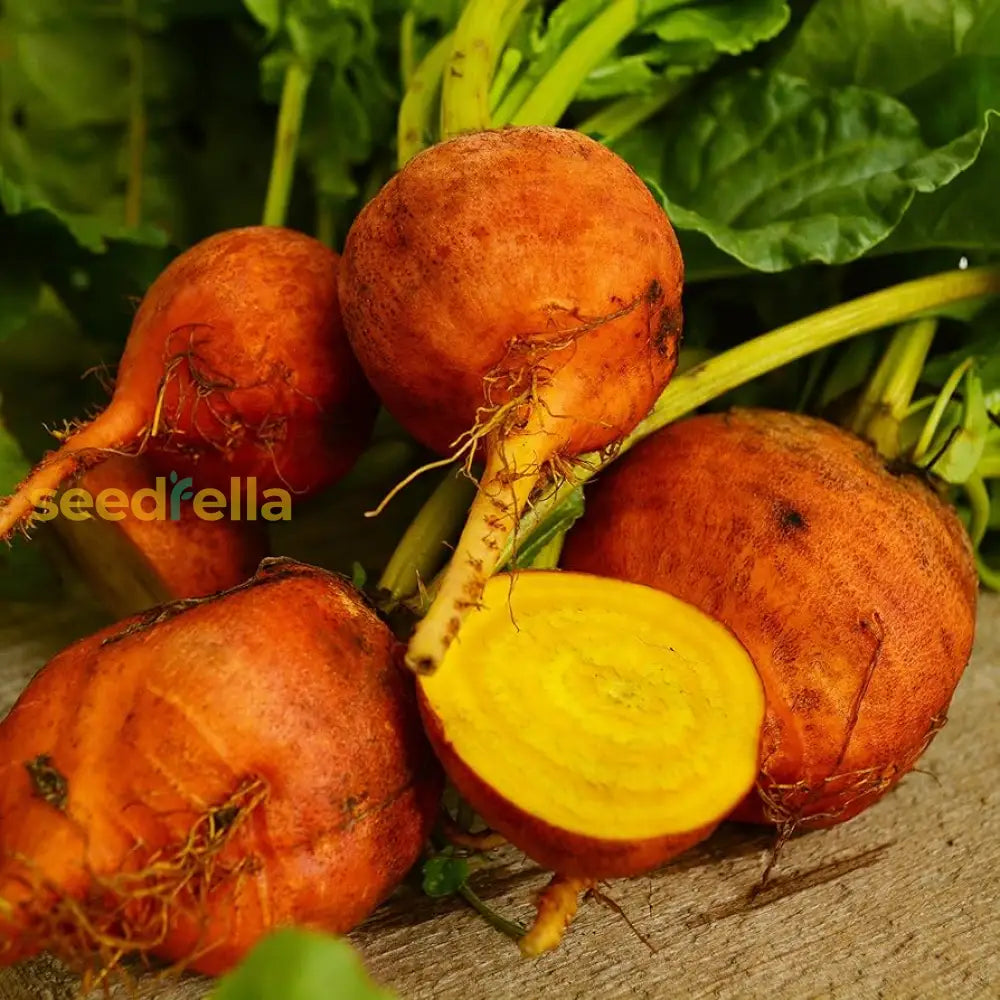 Orange Beet seeds for planting Non-GMO variety