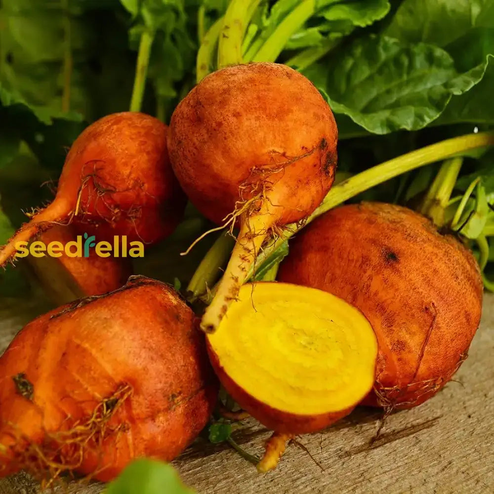 Orange Beet Seeds For Vegetable Planting Seeds