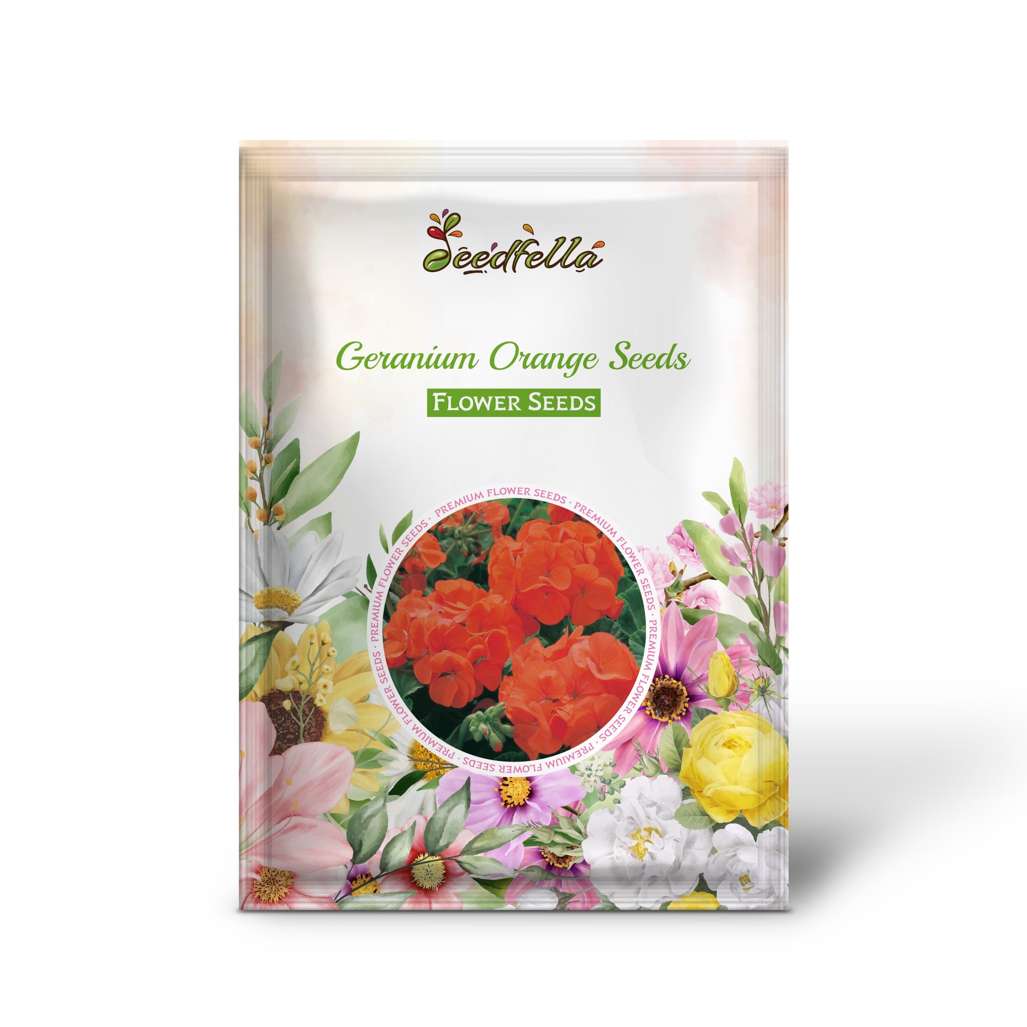 Orange Geranium flowers in full bloom