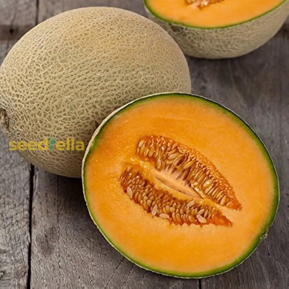Orange Melon Seeds for Easy Planting in Home Gardens