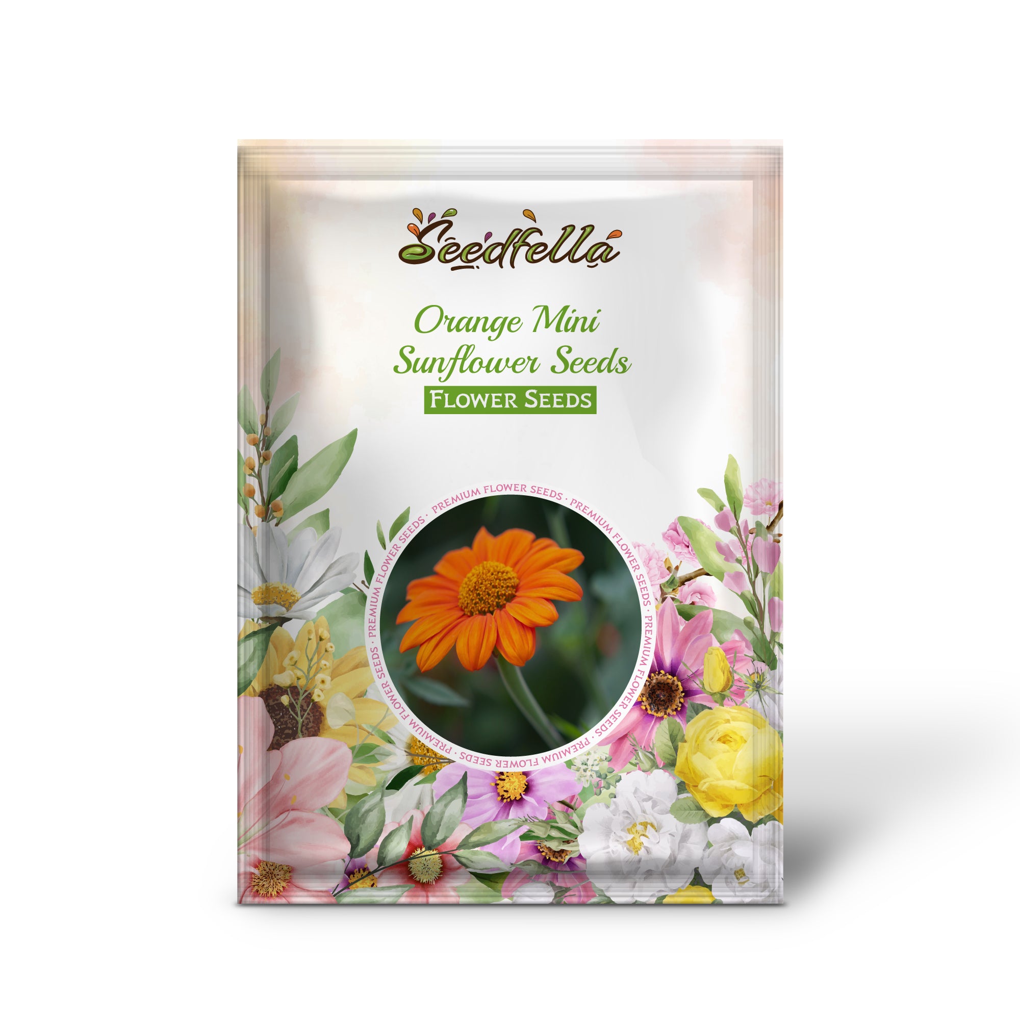 Orange mini sunflower seeds germinating seedlings