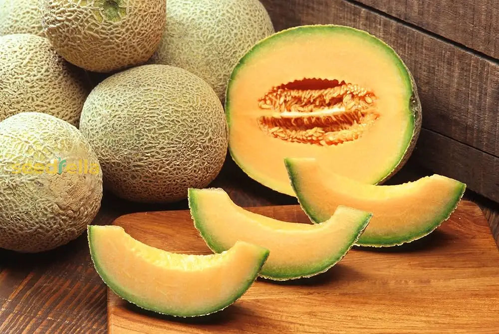 Orange Muskmelon Fruit Seeds - Planting