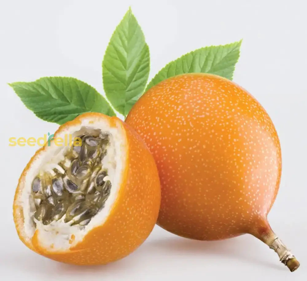 Orange Passion Fruit Seeds For Planting - Grow Exotic Passiflora Edulis