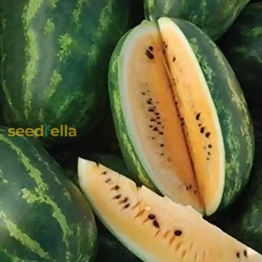 Orange Watermelon Seeds For Planting - Grow Your Own Juicy Fruit