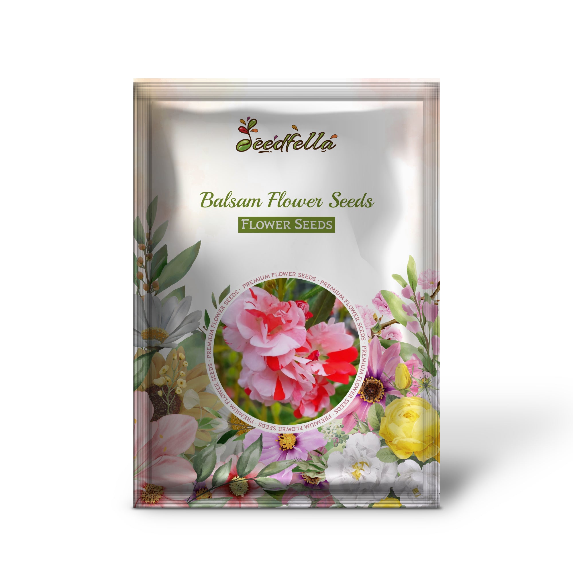 Orange and White Balsam Flowers in Full Bloom