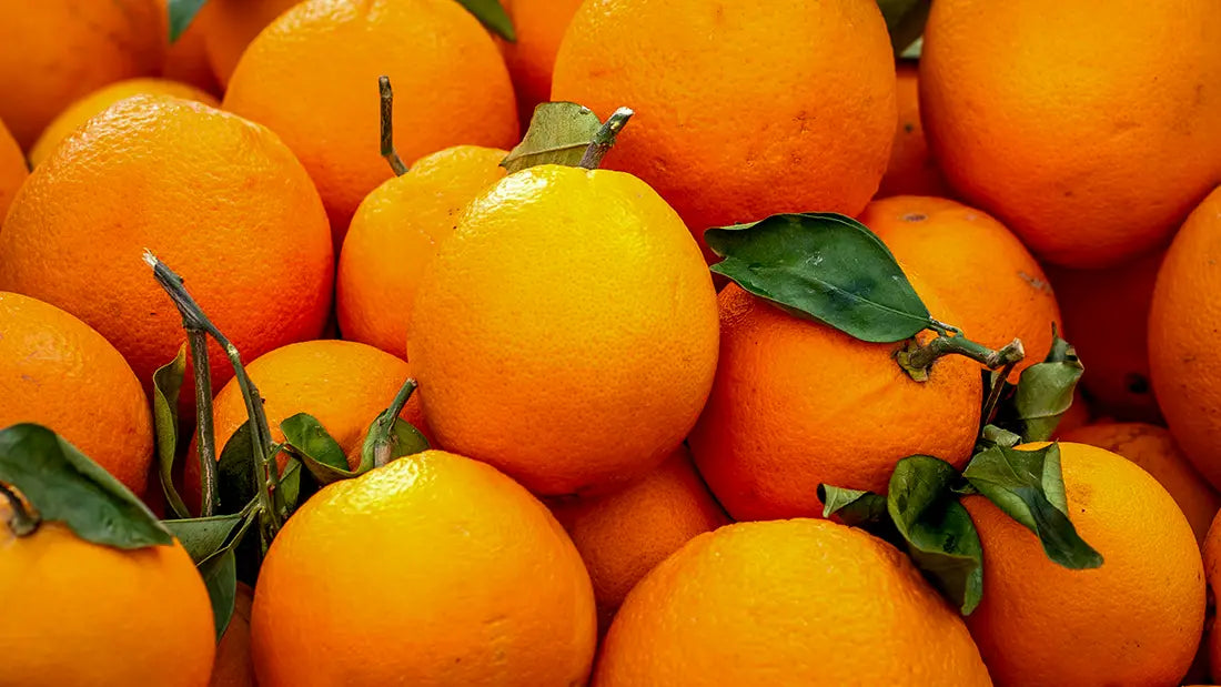 Exotic Orange Fruit Seeds For Planting: Brighten Your Garden