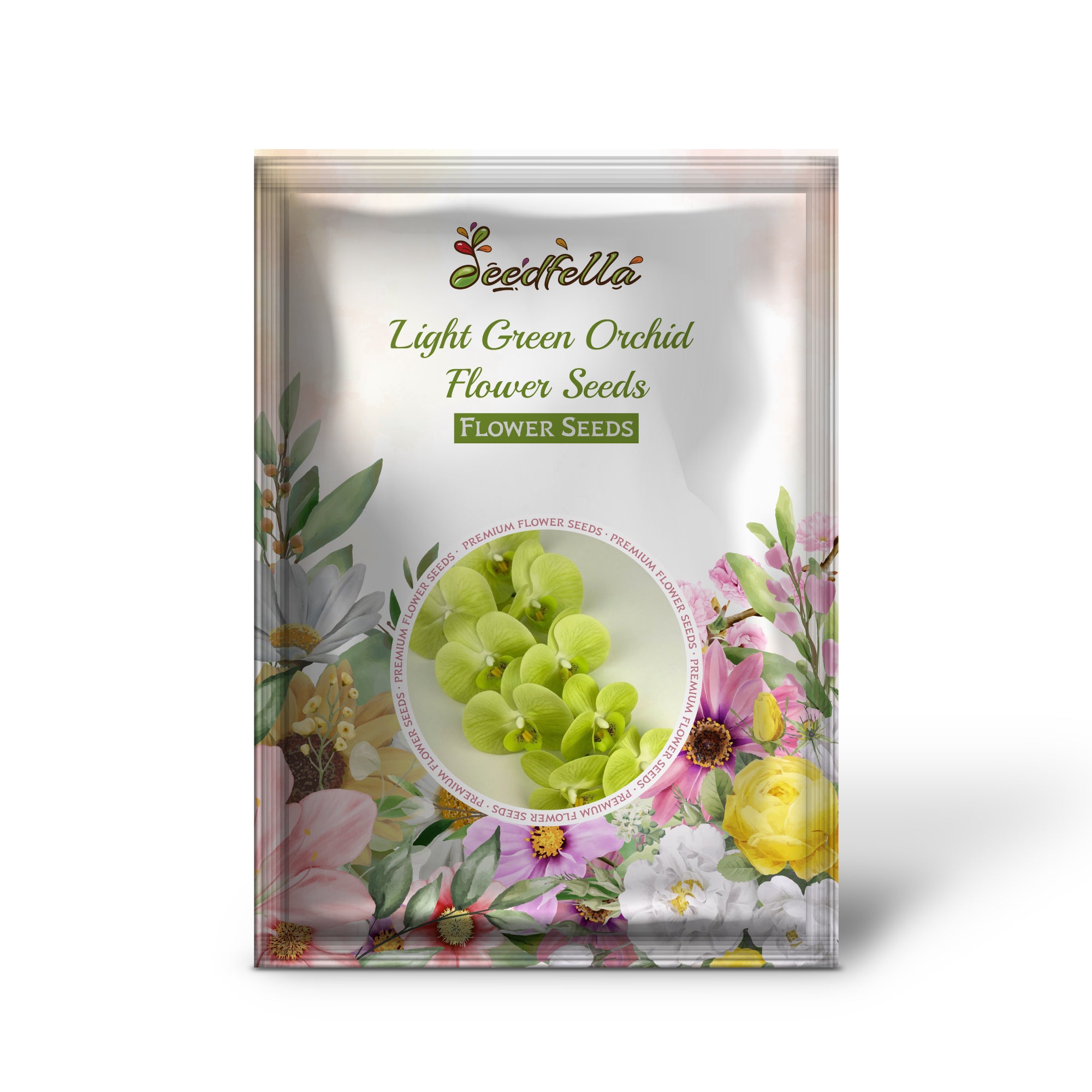 Elegant Light Green Orchid Blooms