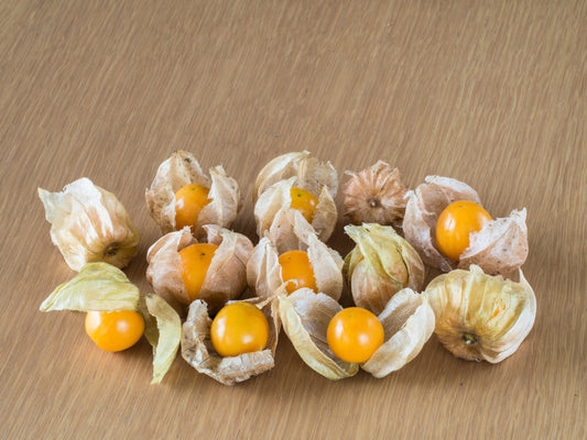 Organic Ground Cherry Seeds – Physalis pruinosa Non-GMO Golden Strawberry