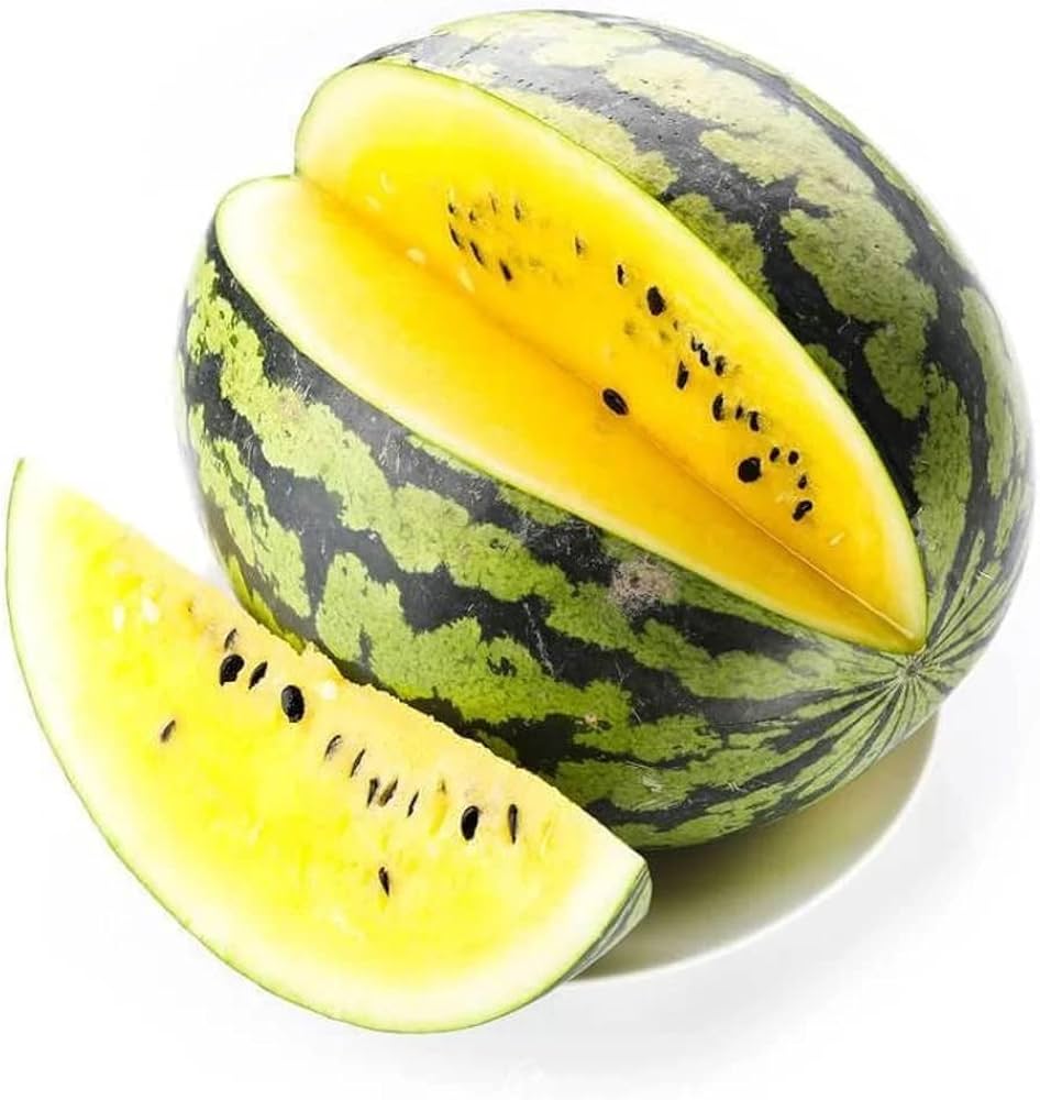 Organic yellow watermelon plants grown from seeds