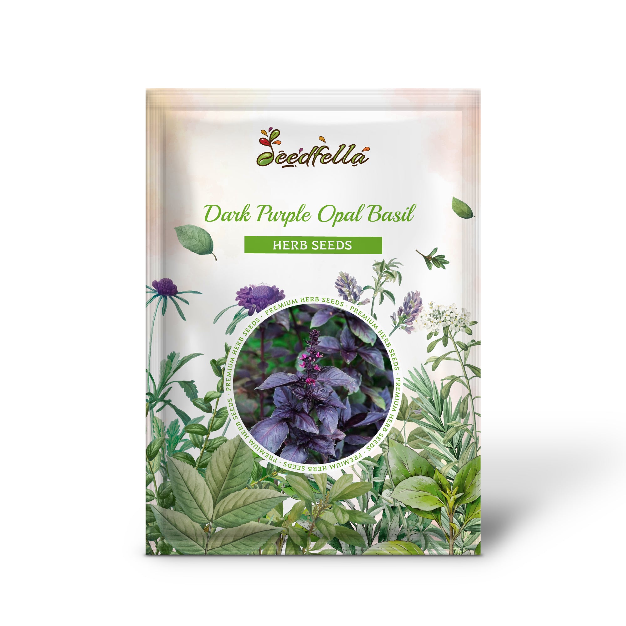 Ornamental Dark Purple Opal Basil providing color contrast in garden beds