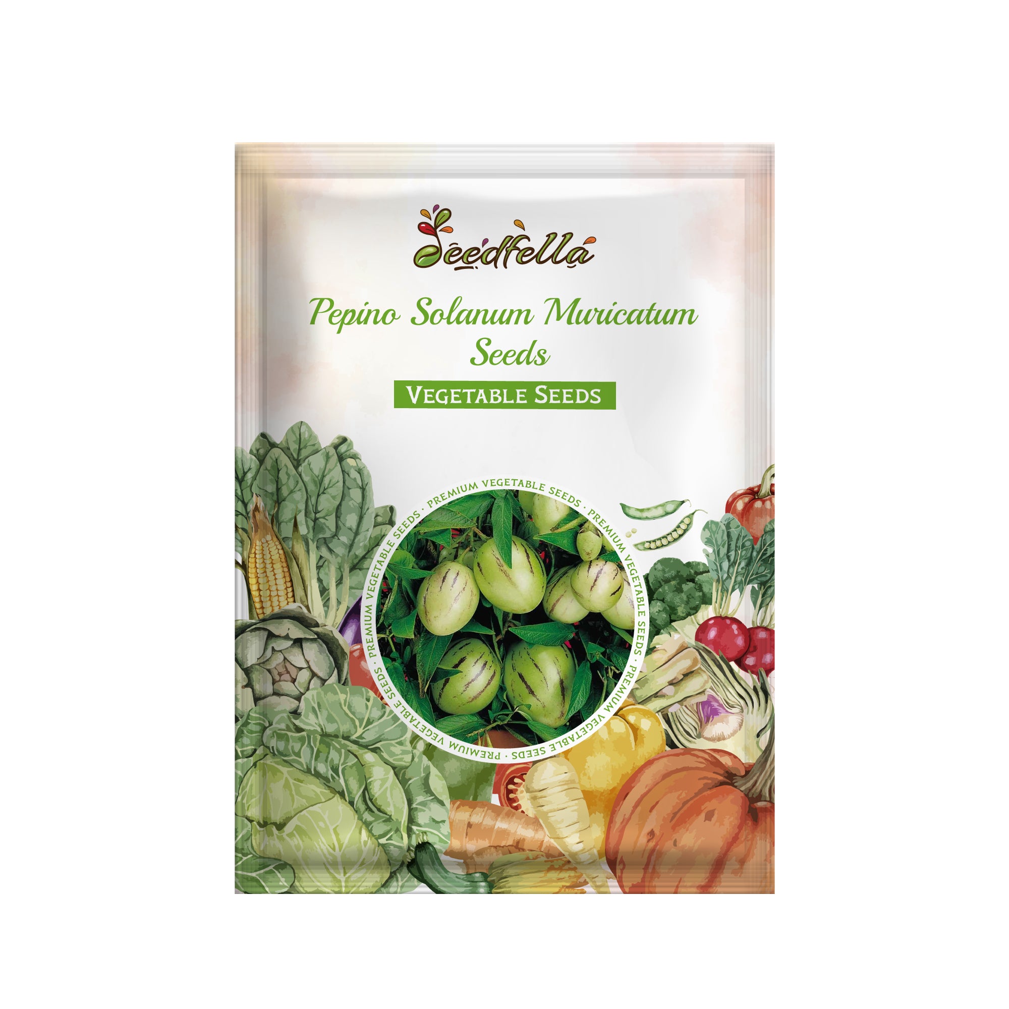 Ornamental Pepino fruiting display from seeds