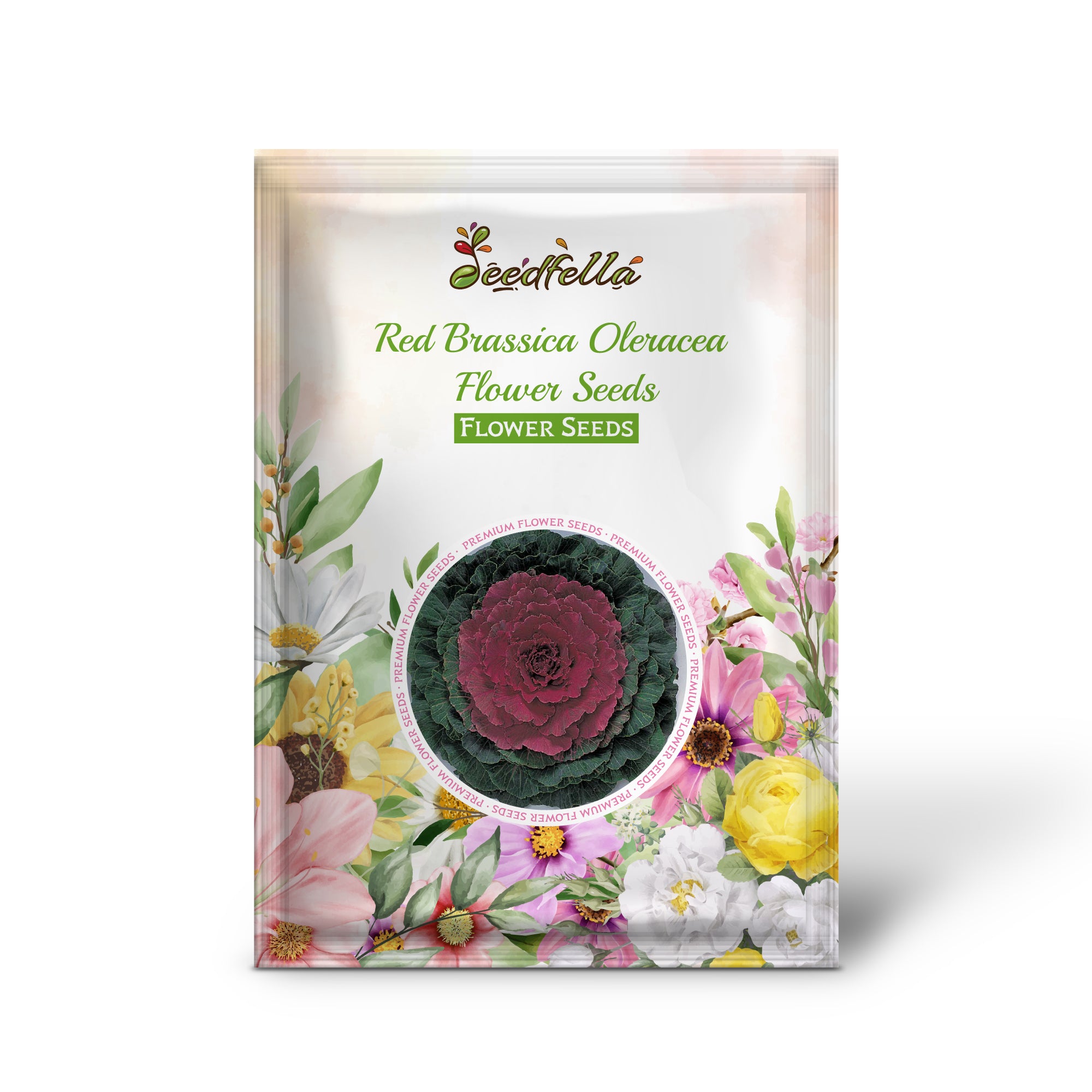 Ornamental Red Brassica Foliage in Garden