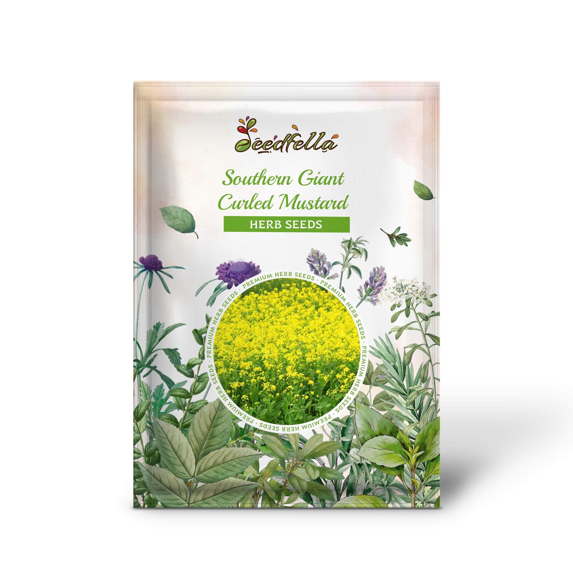 Ostrich Plume curly mustard plants grown from non-GMO seeds