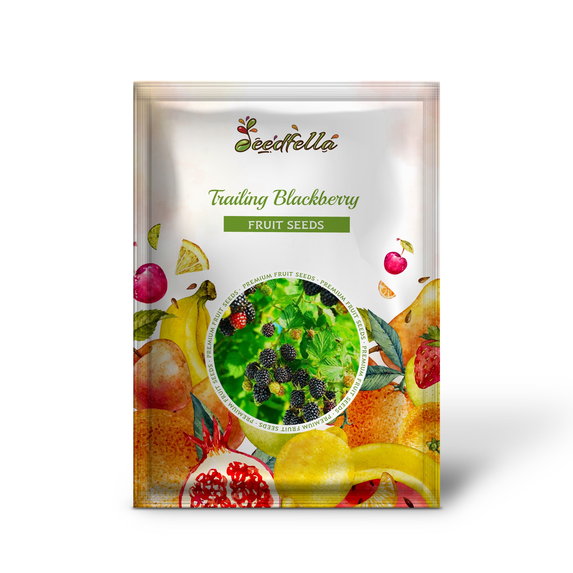 Pacific blackberry vine growing along trellis