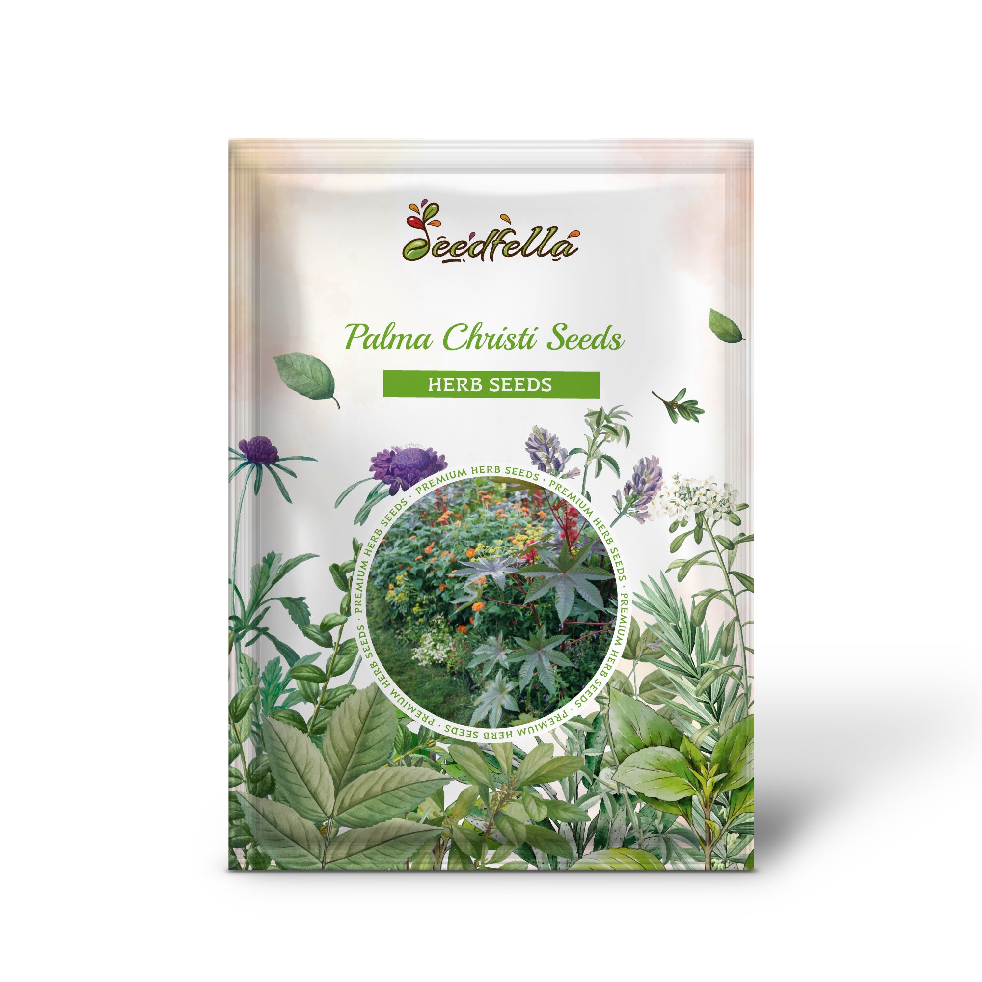 Premium Non-GMO Palma Christi Seeds Pack