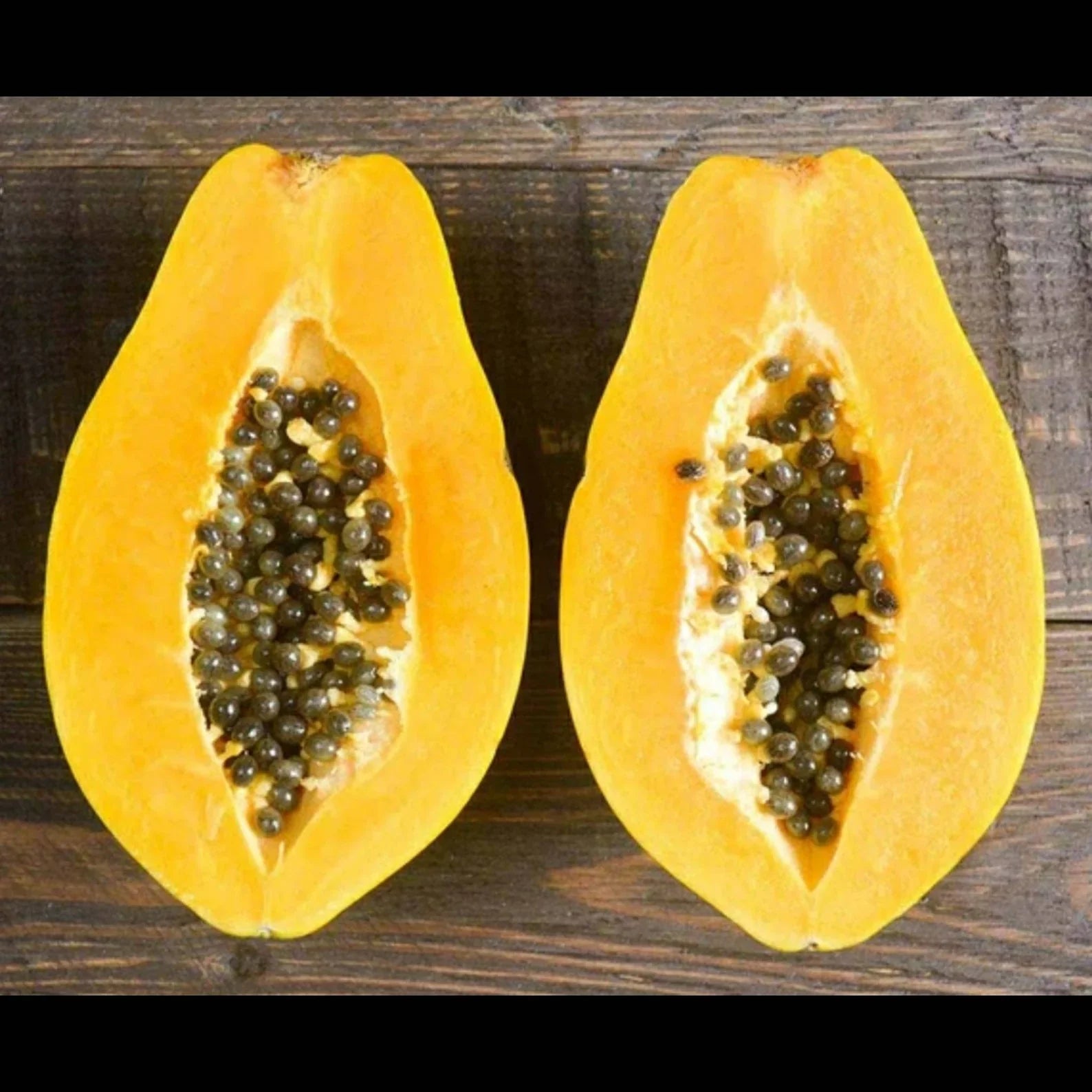 Yellow papaya seed germination and planting guide