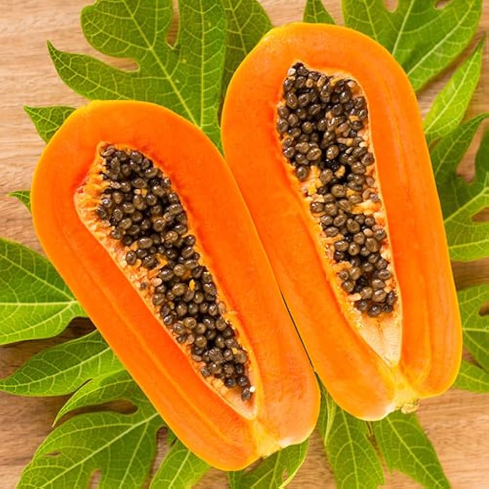 Papaya seeds for planting Carica papaya