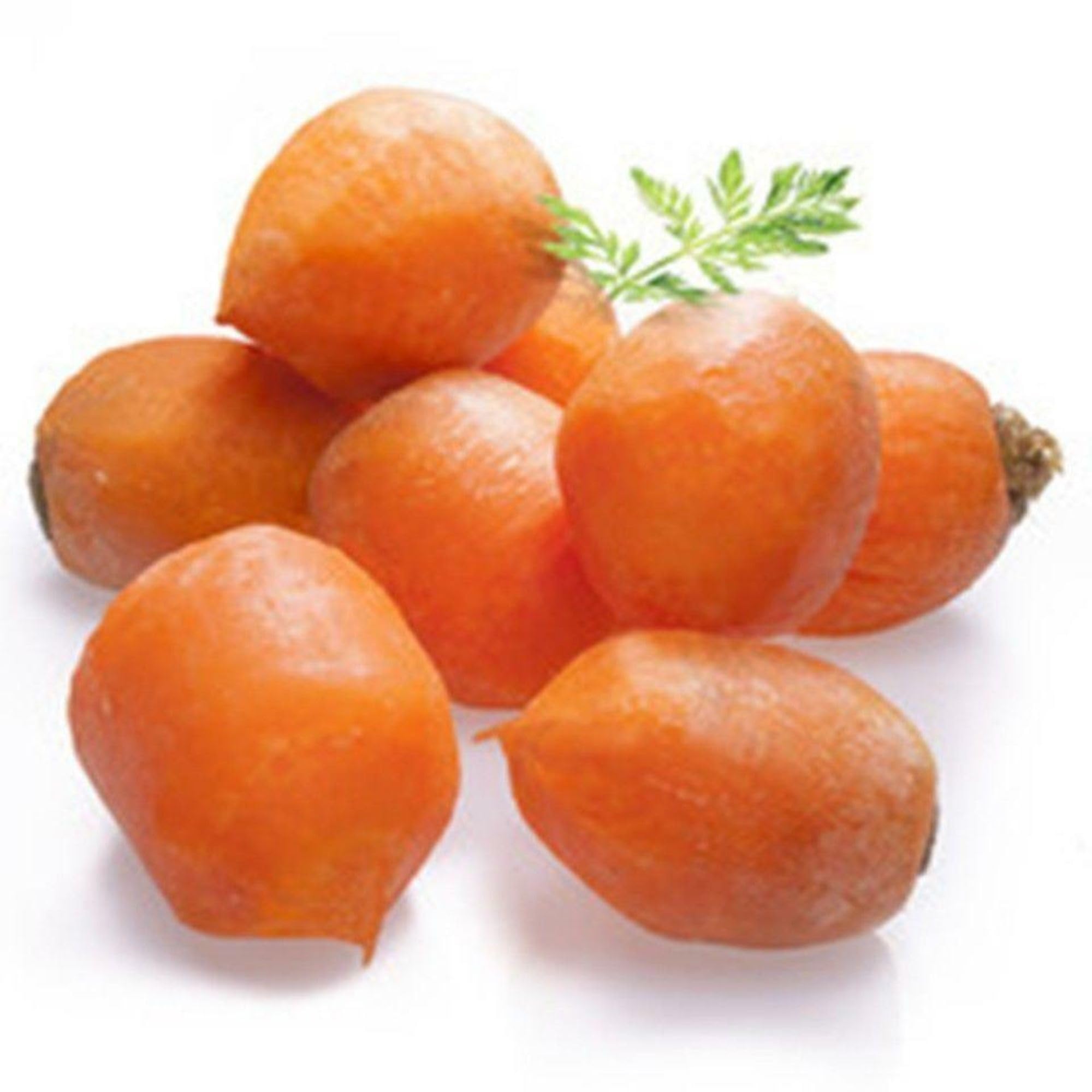 Mature Parisian Carrot plants in raised bed