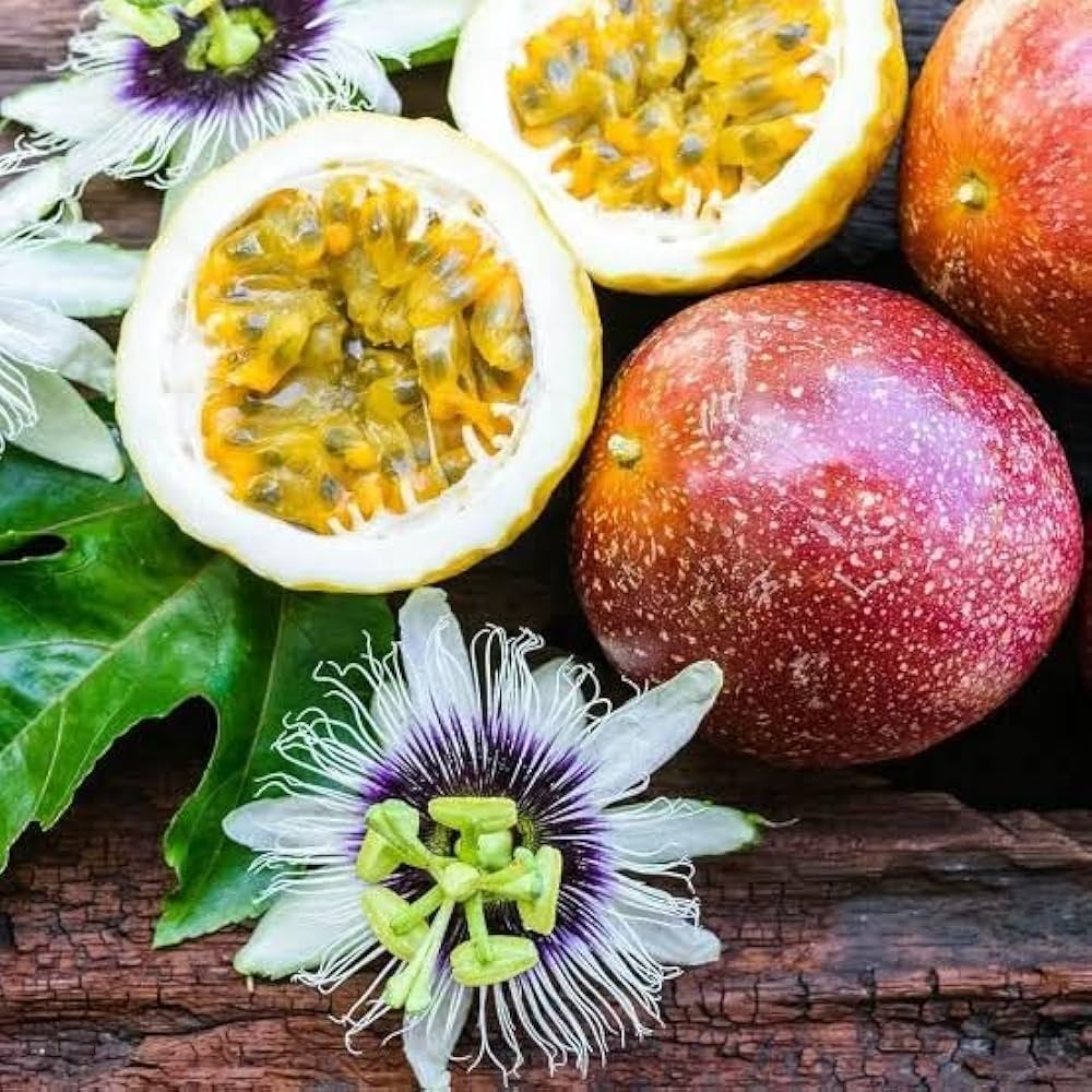 Passiflora incarnata seeds for planting exotic brown passion fruits