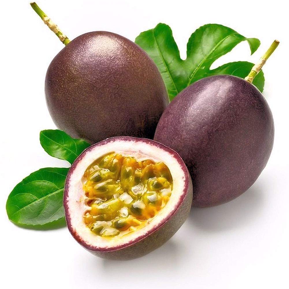 Passionflower Vine Seeds Exotic Climbing Plant