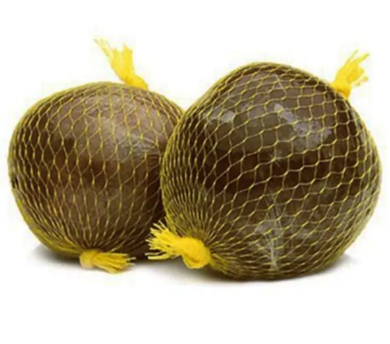 Patinoi BoRoJoa Tree Growing in Garden, Healthy Tree with Unique Fruit