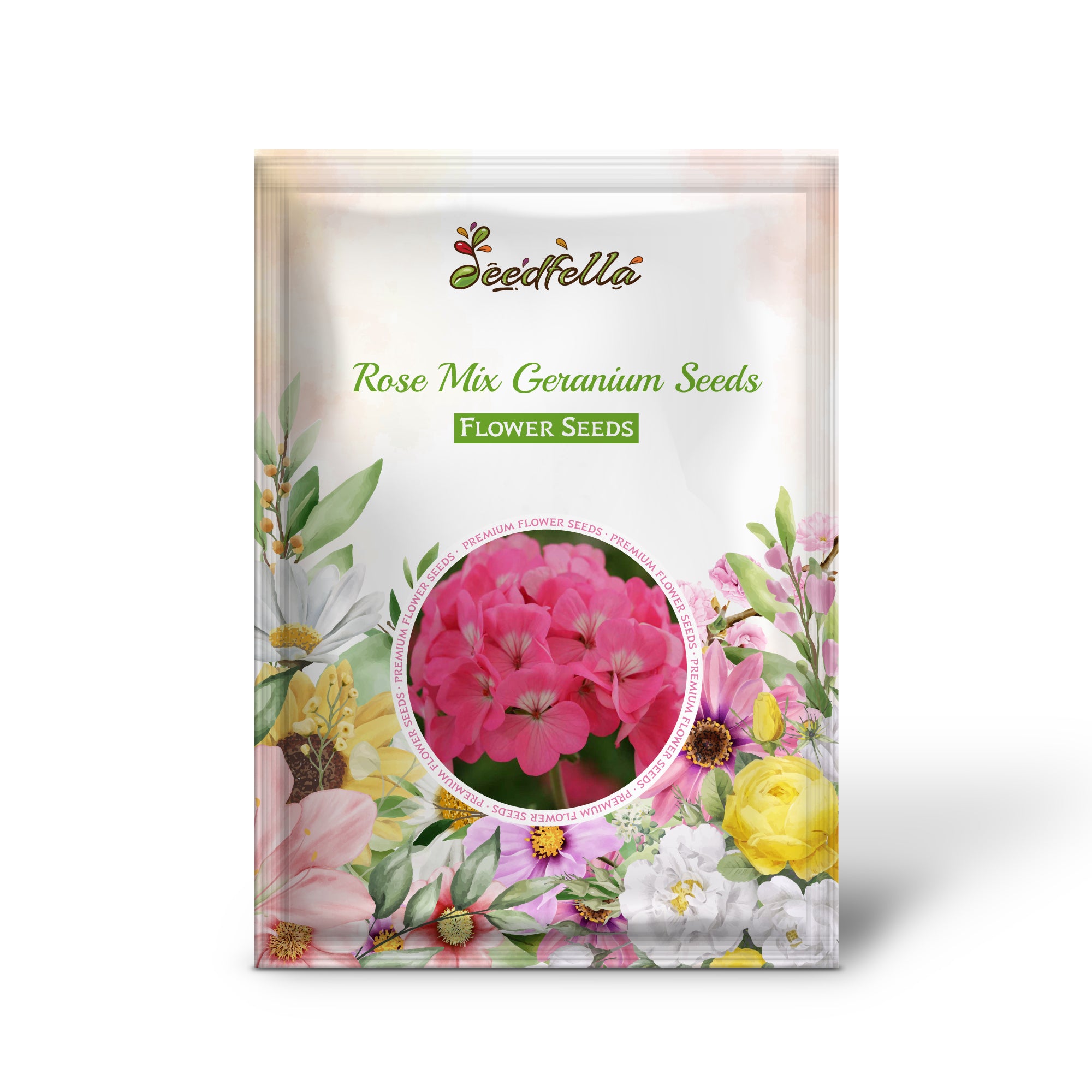 Pelargonium Peltatum Rose Mix Blooms