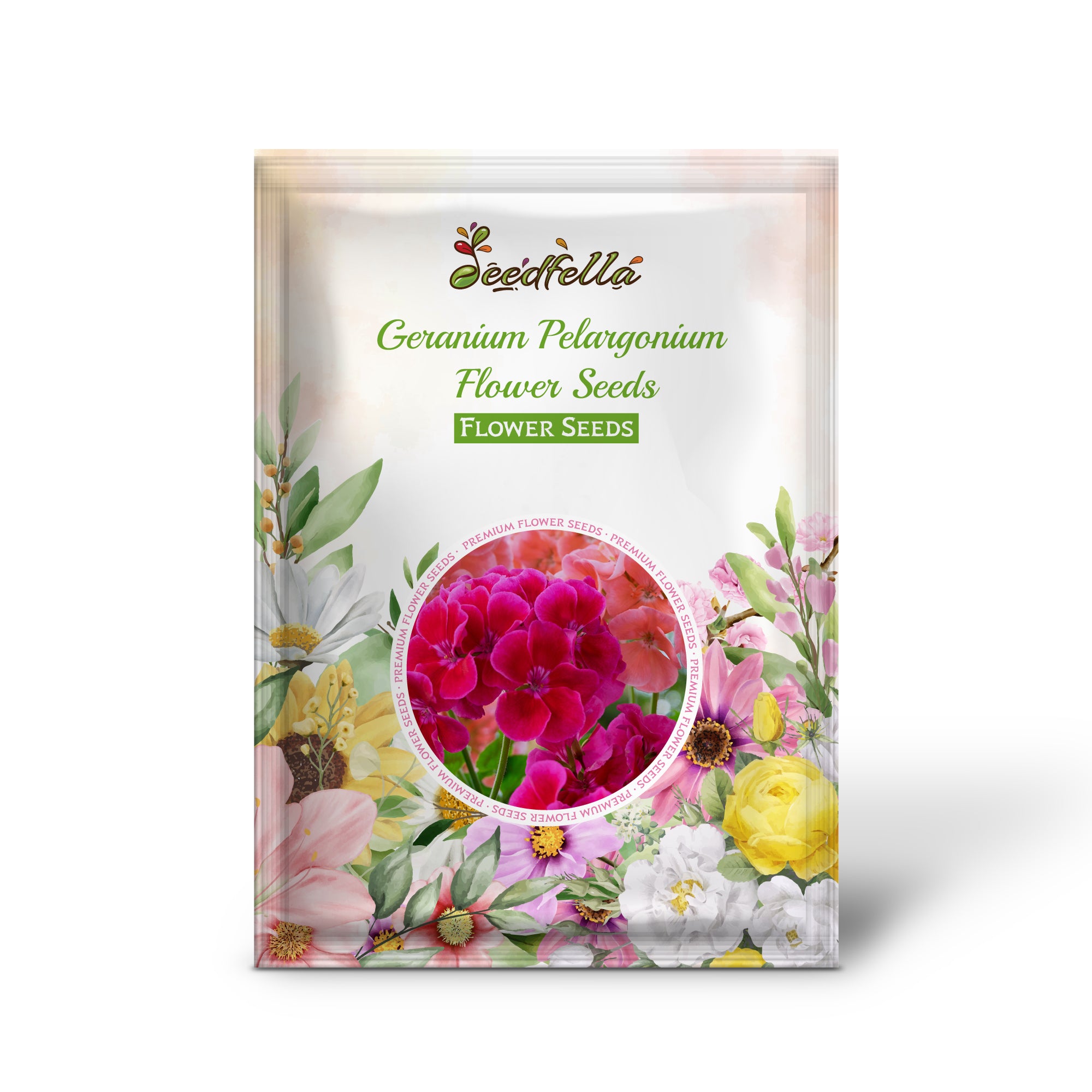 Purple Pelargonium Blooms for Garden Beds and Borders