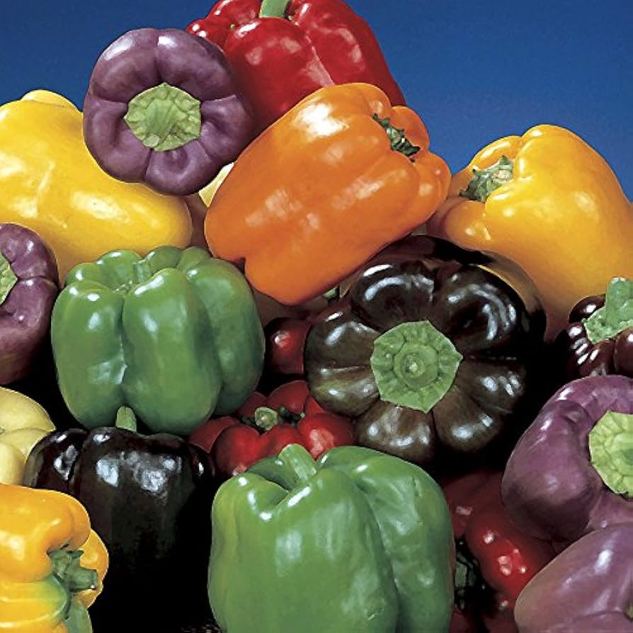 Non-GMO Peppers Mixed Seeds for planting in home gardens