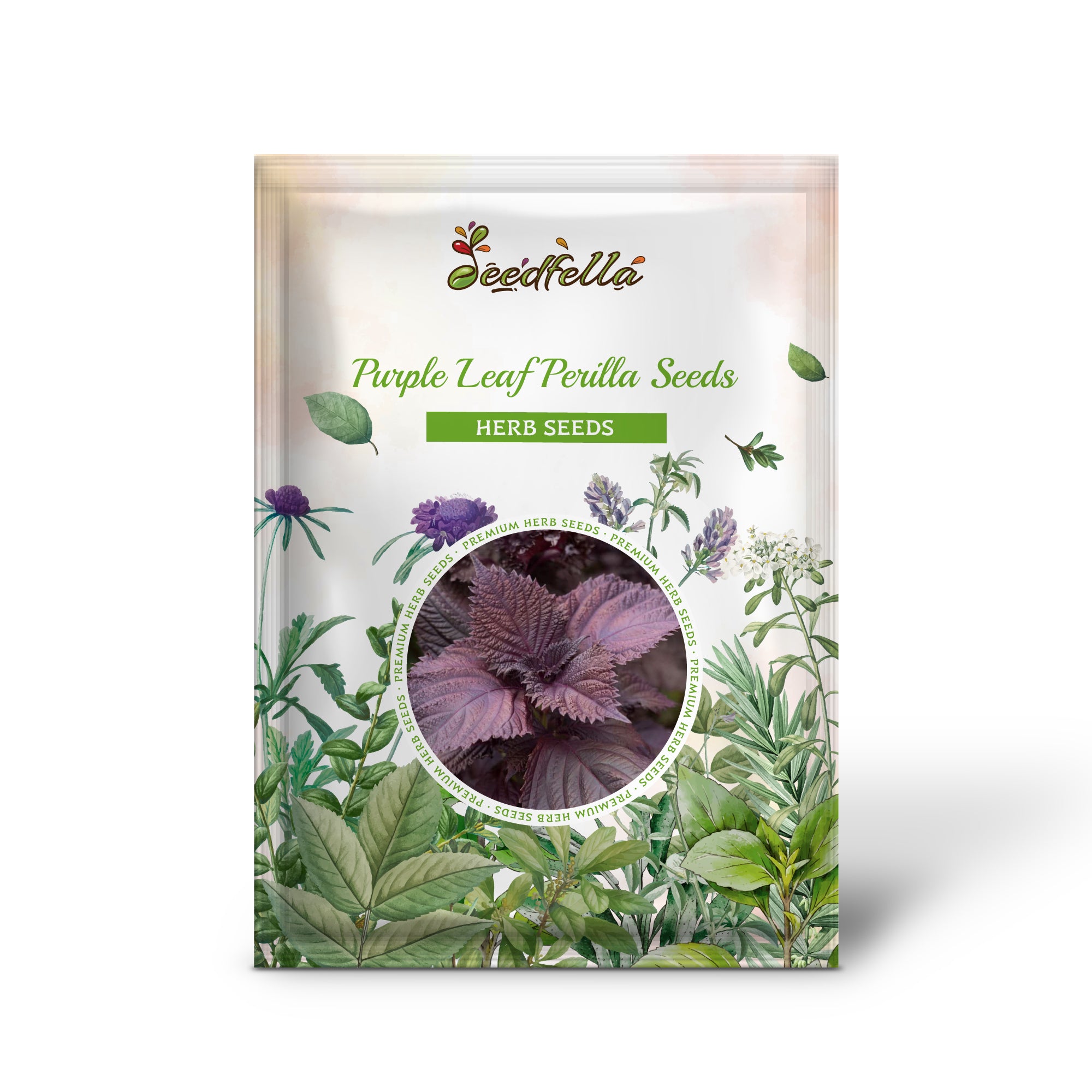Perilla Seeds – Non-GMO Purple Leaf Variety for Gardens