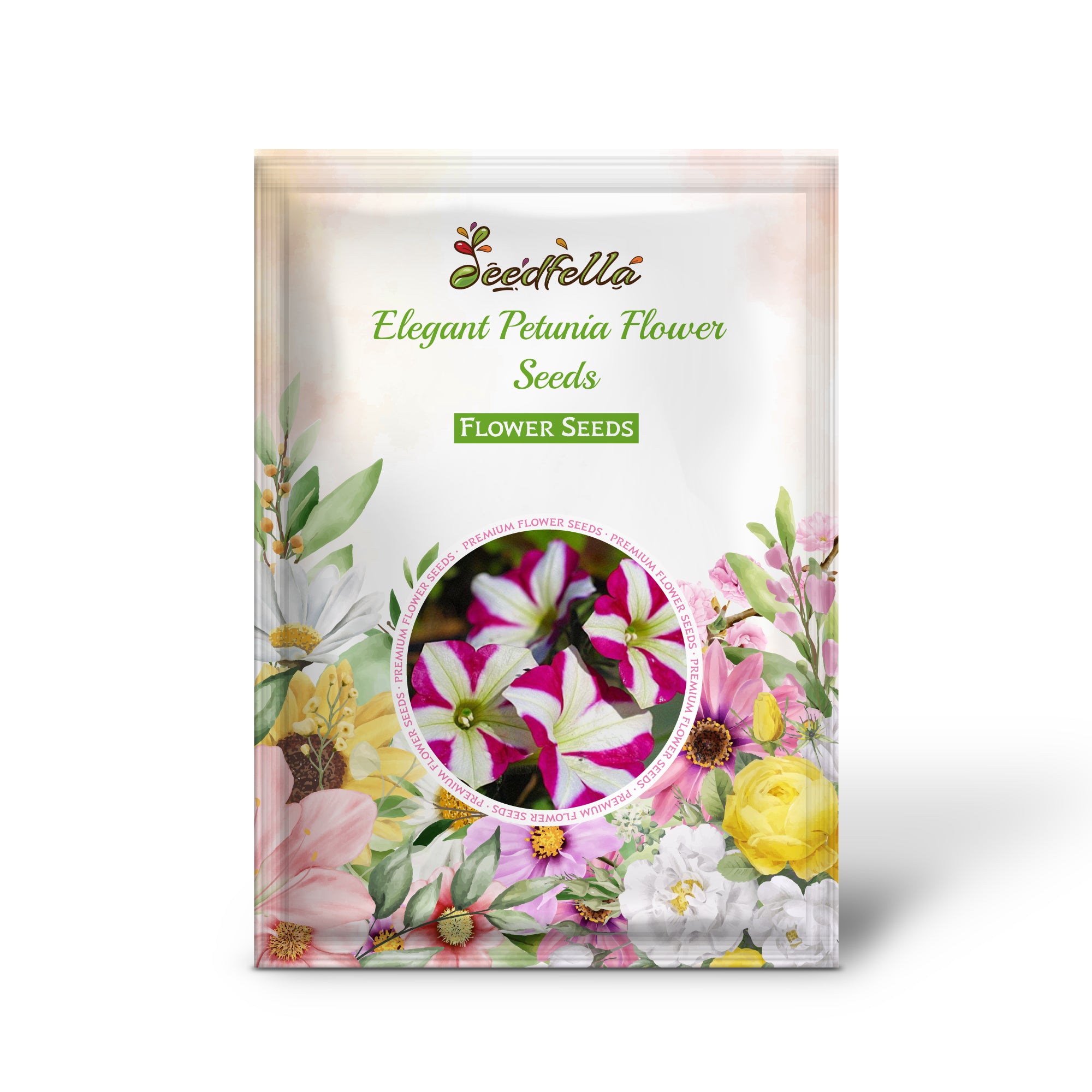 Pink and White Petunia Flowers in Garden Containers