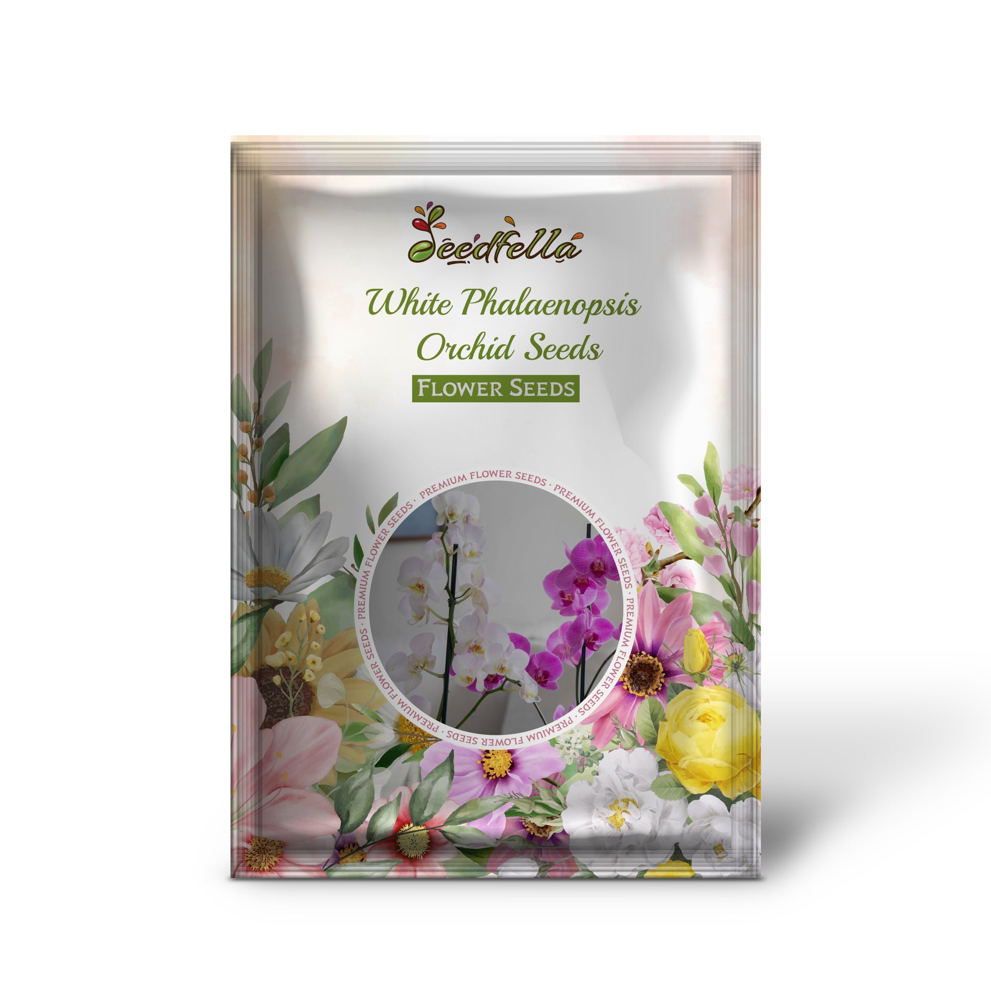 White orchid seeds producing elegant long-lasting blooms
