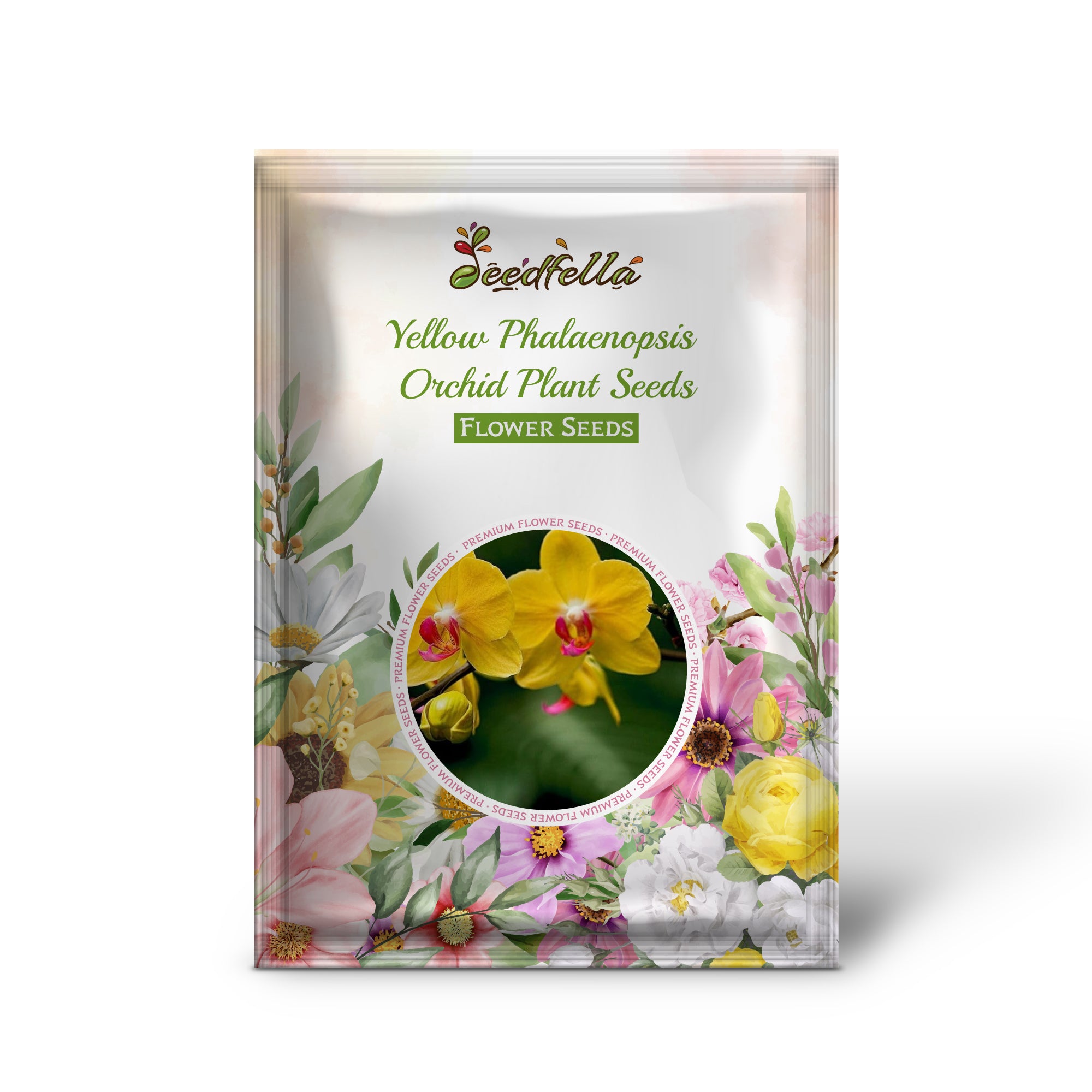 Phalaenopsis Yellow Seeds For Planting